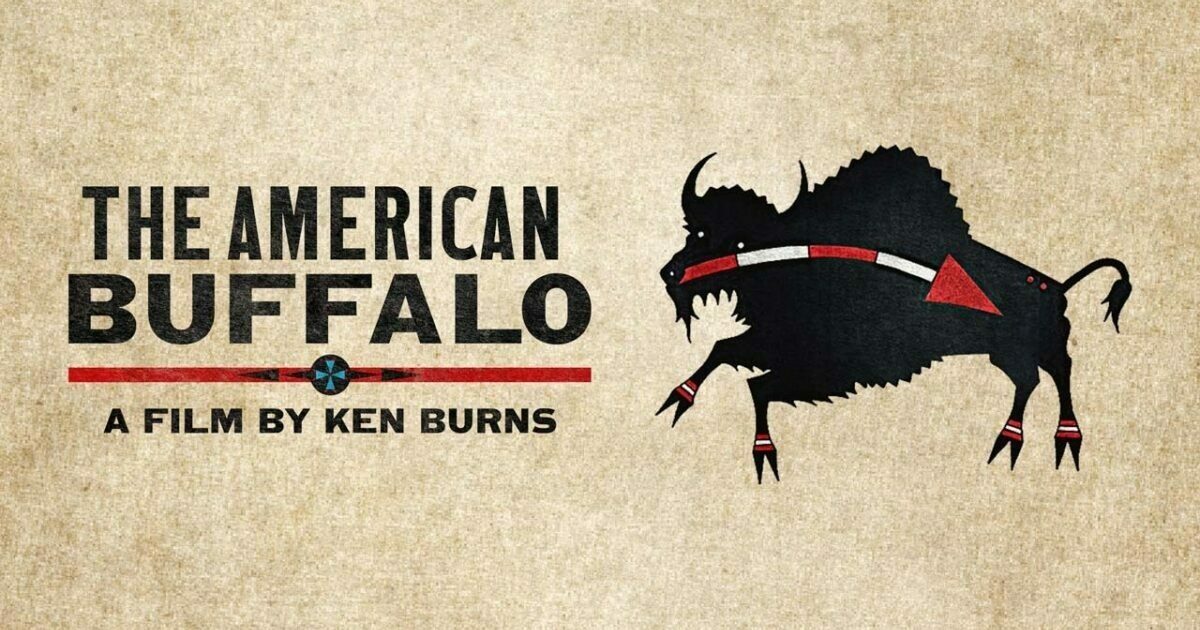 americanbuffalo.jpeg