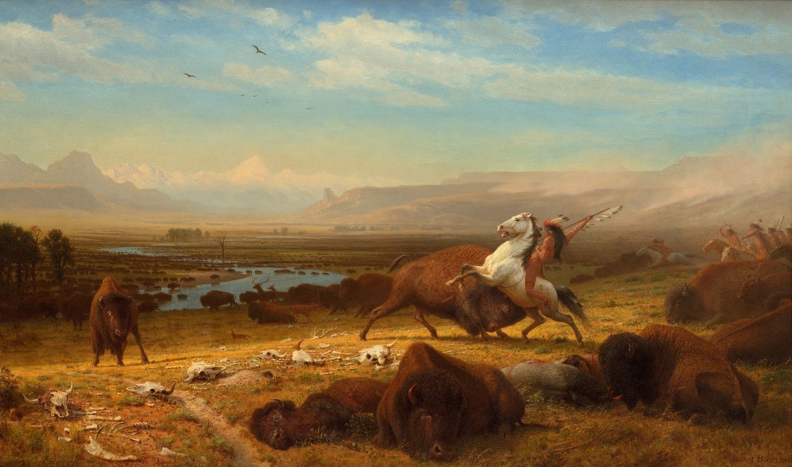 American Buffalo painting