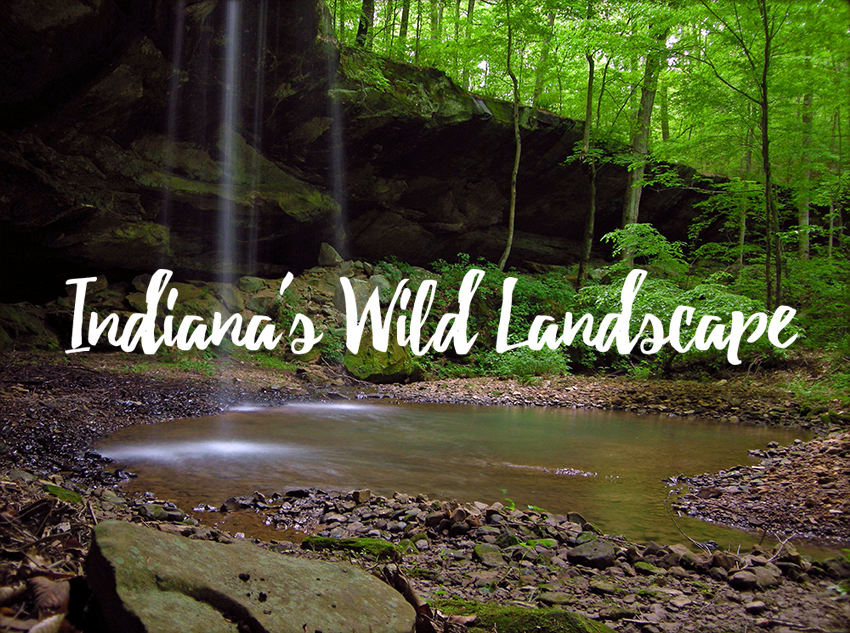 Indiana's Wild Landscape