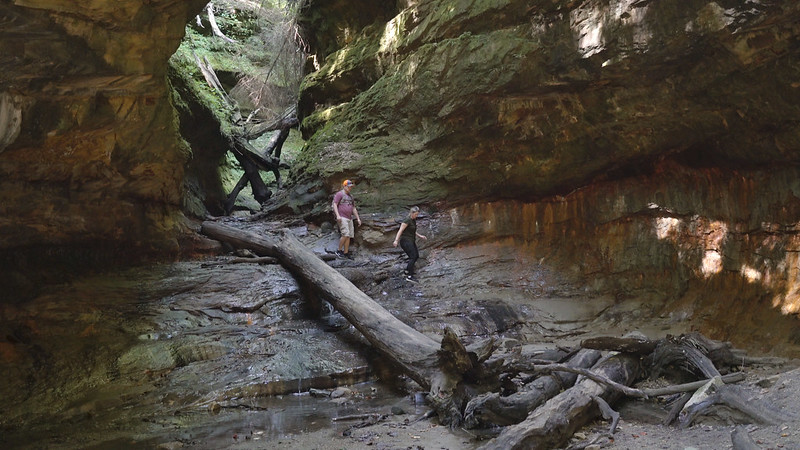 Turkey Run State Park in Indiana