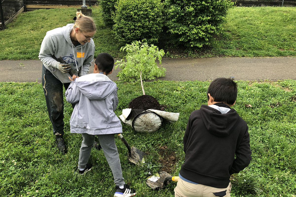 Hanna Gregory with shovel and two boys digging in grass with a young tree on its side in the background