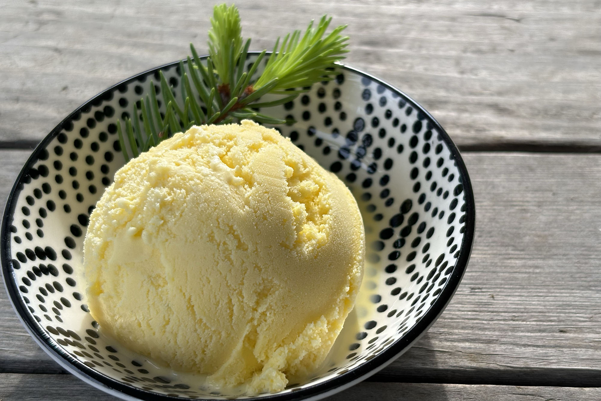 scoop of yellow ice cream in a black and white bowl with a spruce sprig