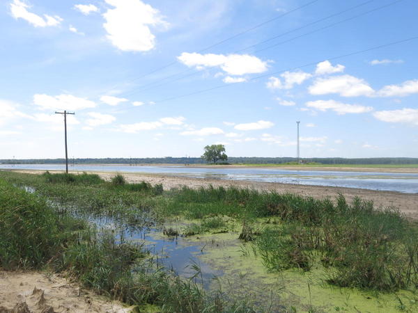 a flooded field in Missouri