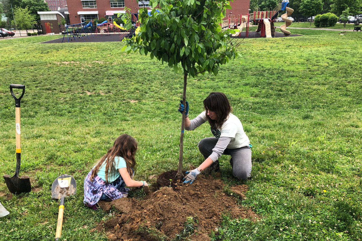 Sarah Mincey kneeling with a gloved hand on the trunk of a small tree. A girl is also kneeling, putting dirt around the tree, playground and school building in the background.