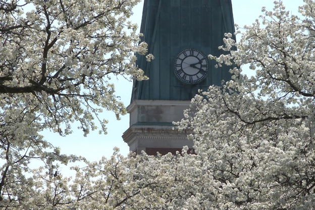 Spring blooms in Columbus.
