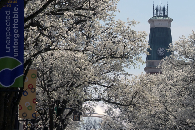 Spring blooming in downtown Columbus.
