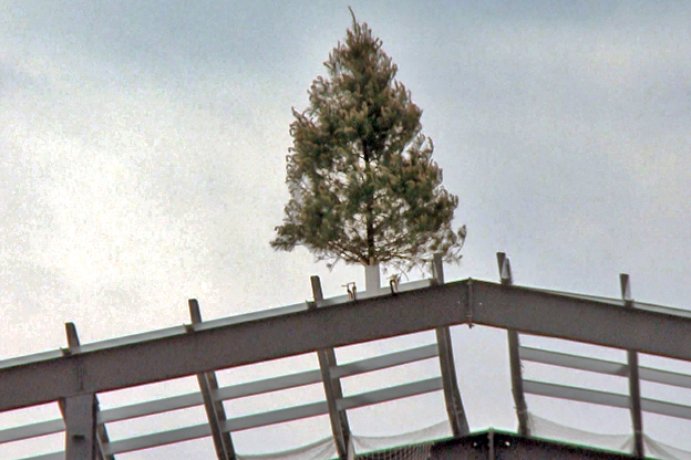 A Christmas Tree on top of NexusPark marks the 'topping' of the completed structure.