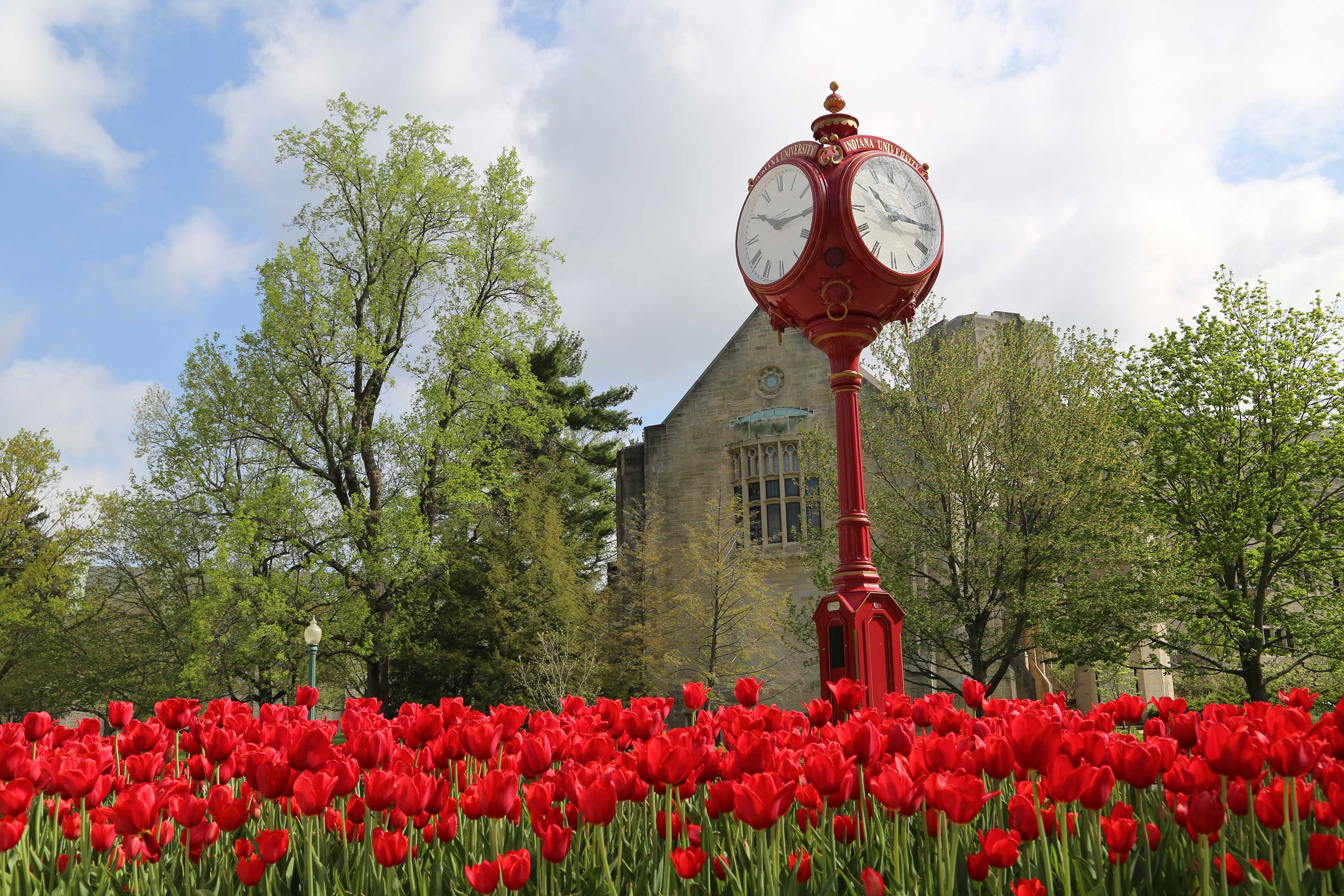 IU students