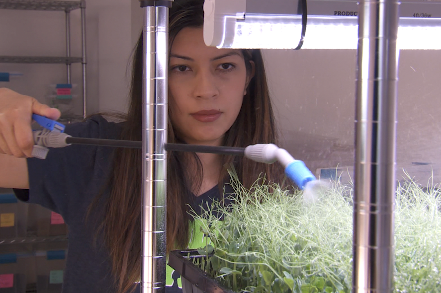 Goldleaf co-owner Monica Billman waters plants in their shop.