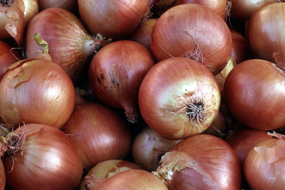 onions
