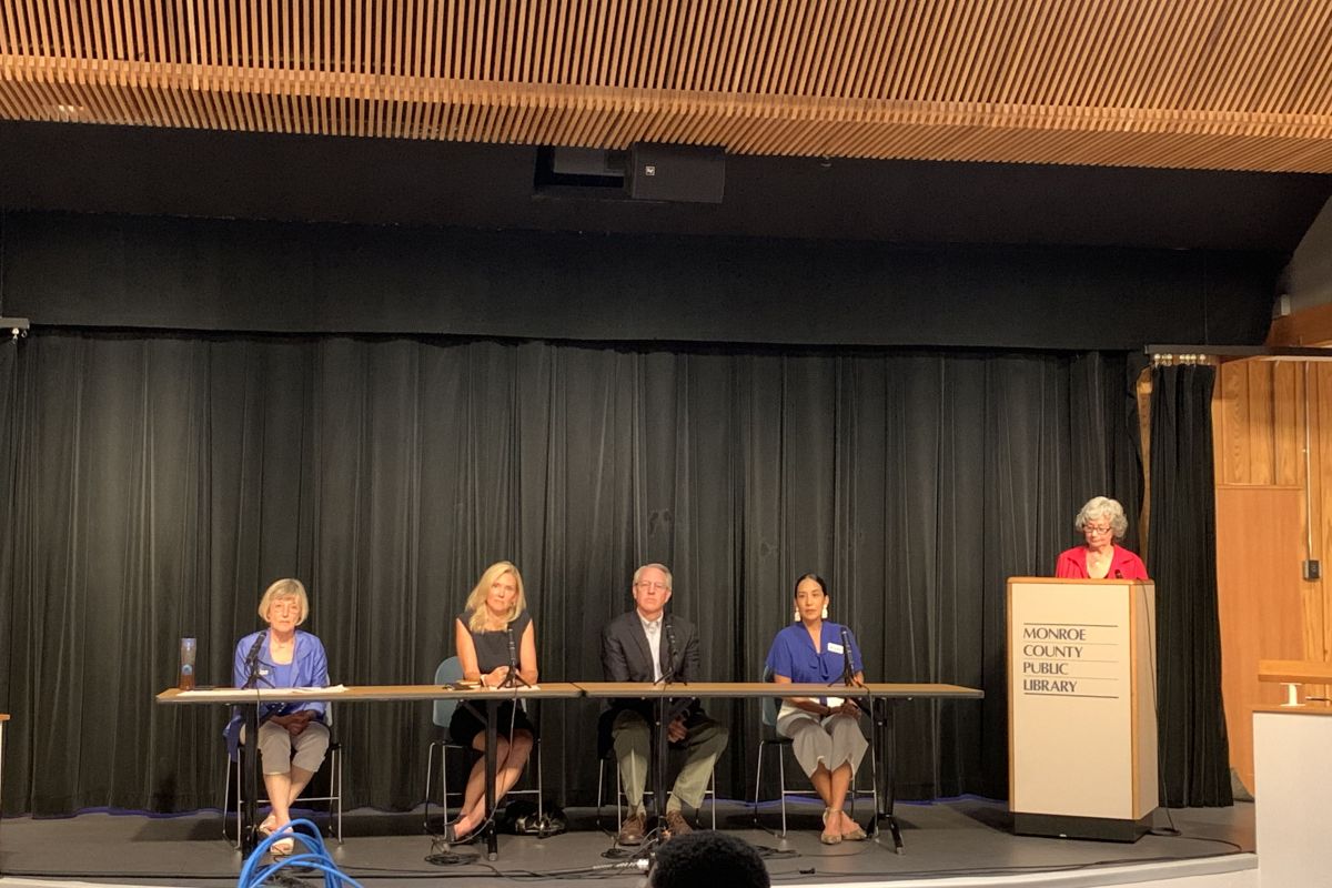 Local Democratic legislators and candidates field questions at a town hall Sunday.