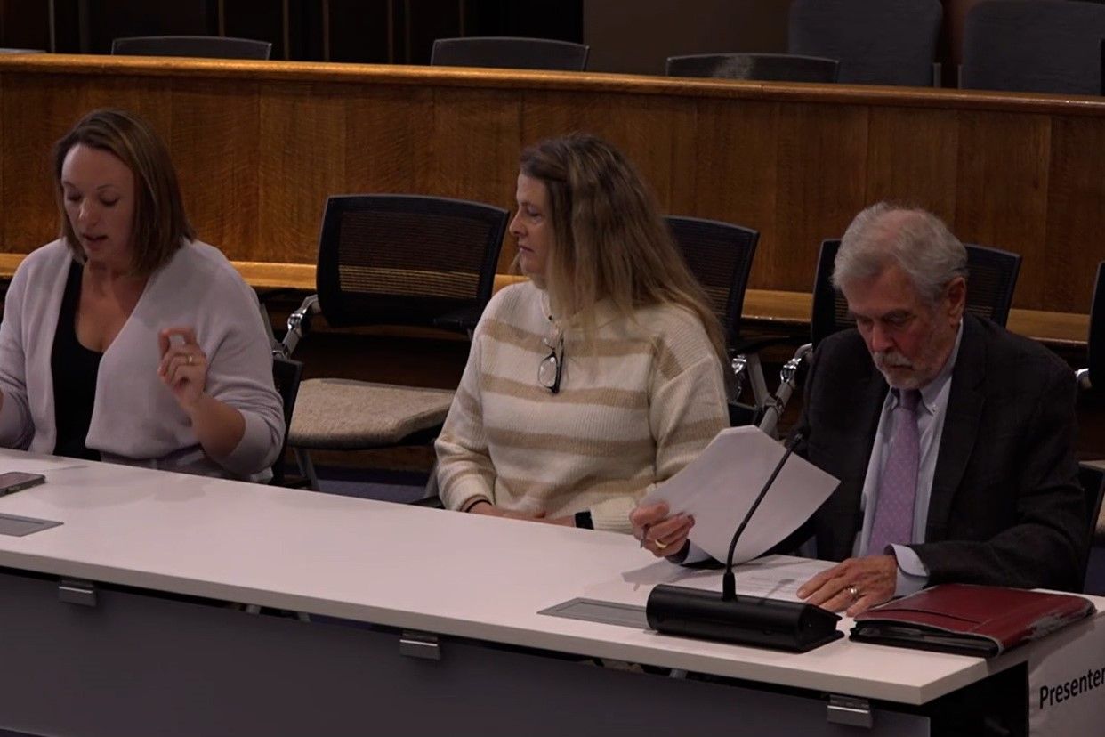 Amy Payne (far left) of the county public defender's office speaking to the council.