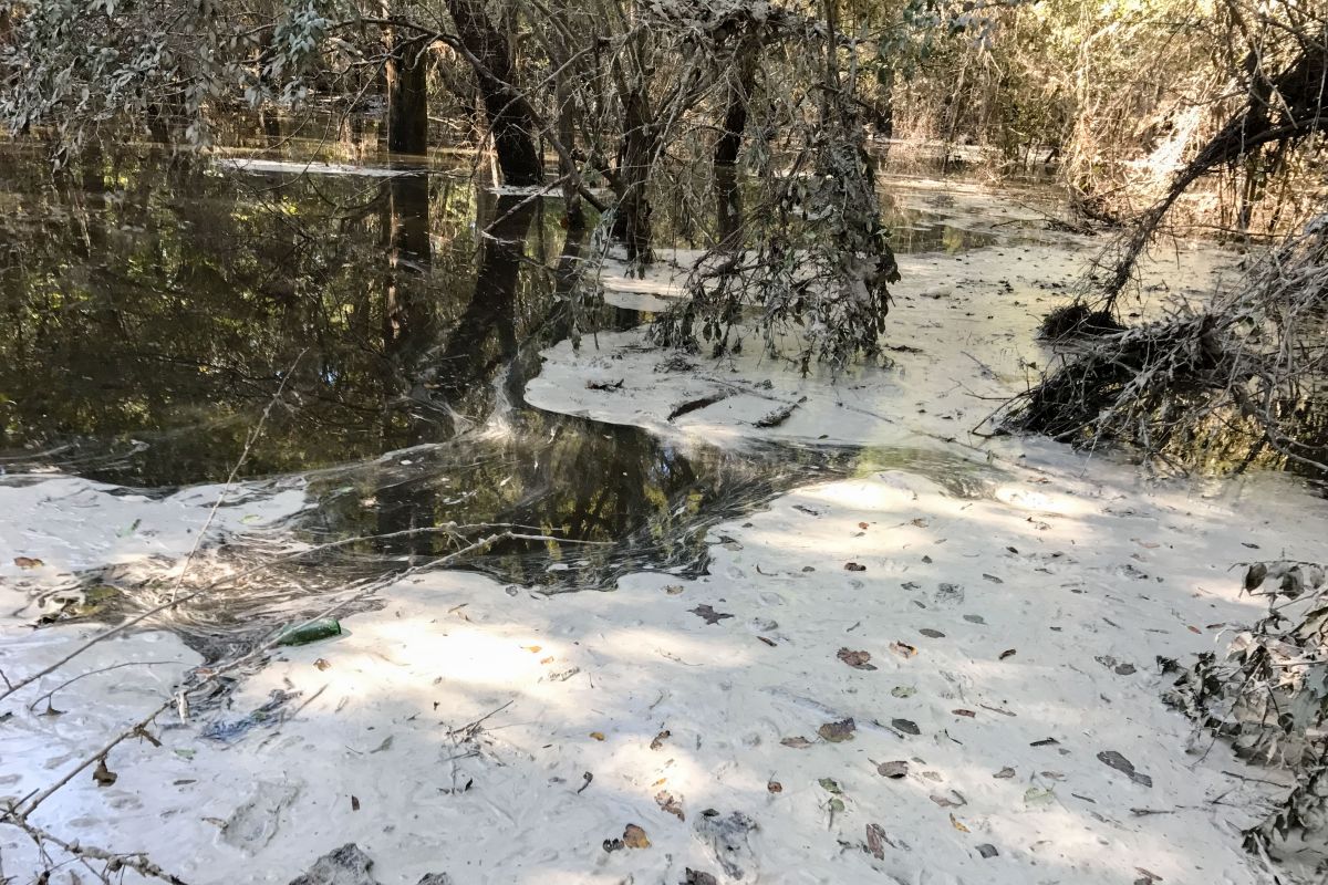 coal ash pond