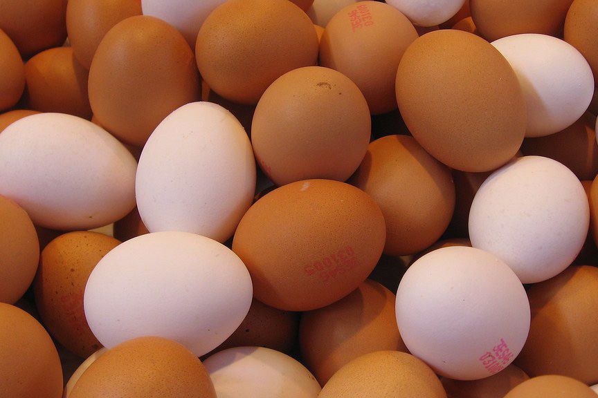 eggs