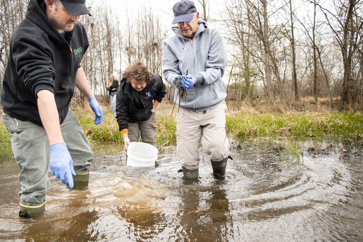 Masses of Crawfish Frog eggs are placed in a vernal (temporary Spring) pool in the Angel Mounds State Historic Site, Wednesday March 19.