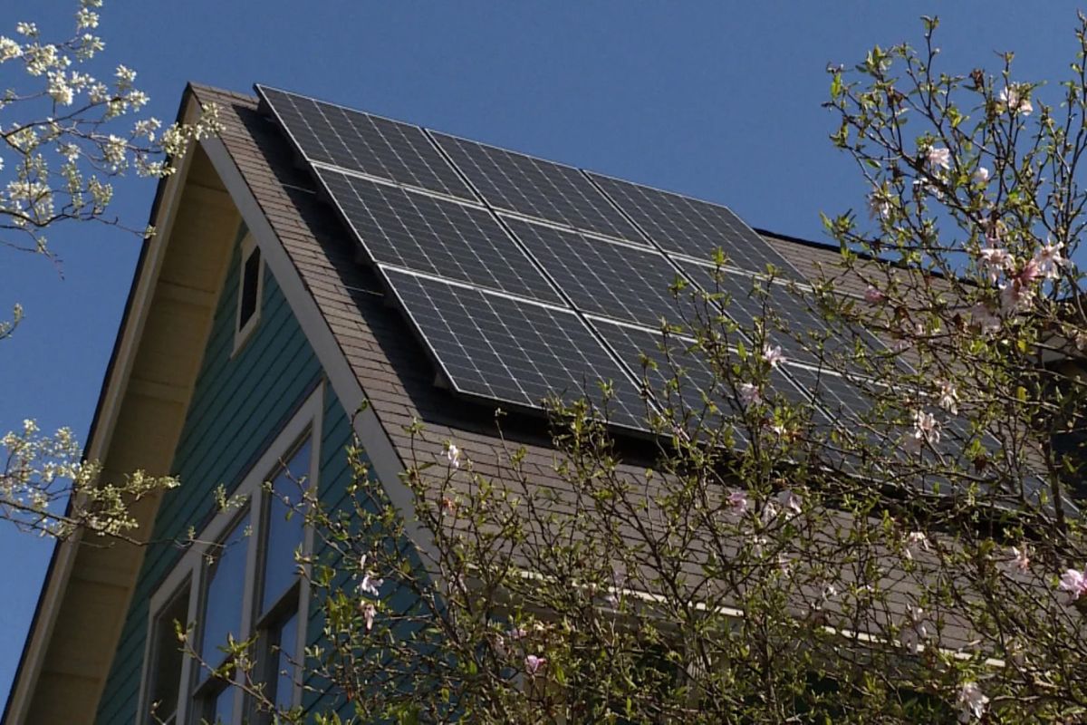 A house has several solar panels installed on its roof. There are flowering branches in the foreground, slightly obscuring the home. Behind it is a clear blue sky.