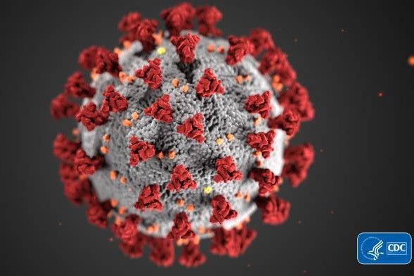 This illustration, created at the Centers for Disease Control and Prevention (CDC), reveals ultrastructural morphology exhibited by coronaviruses. The illness caused by this virus has been named coronavirus disease 2019 (COVID-19).