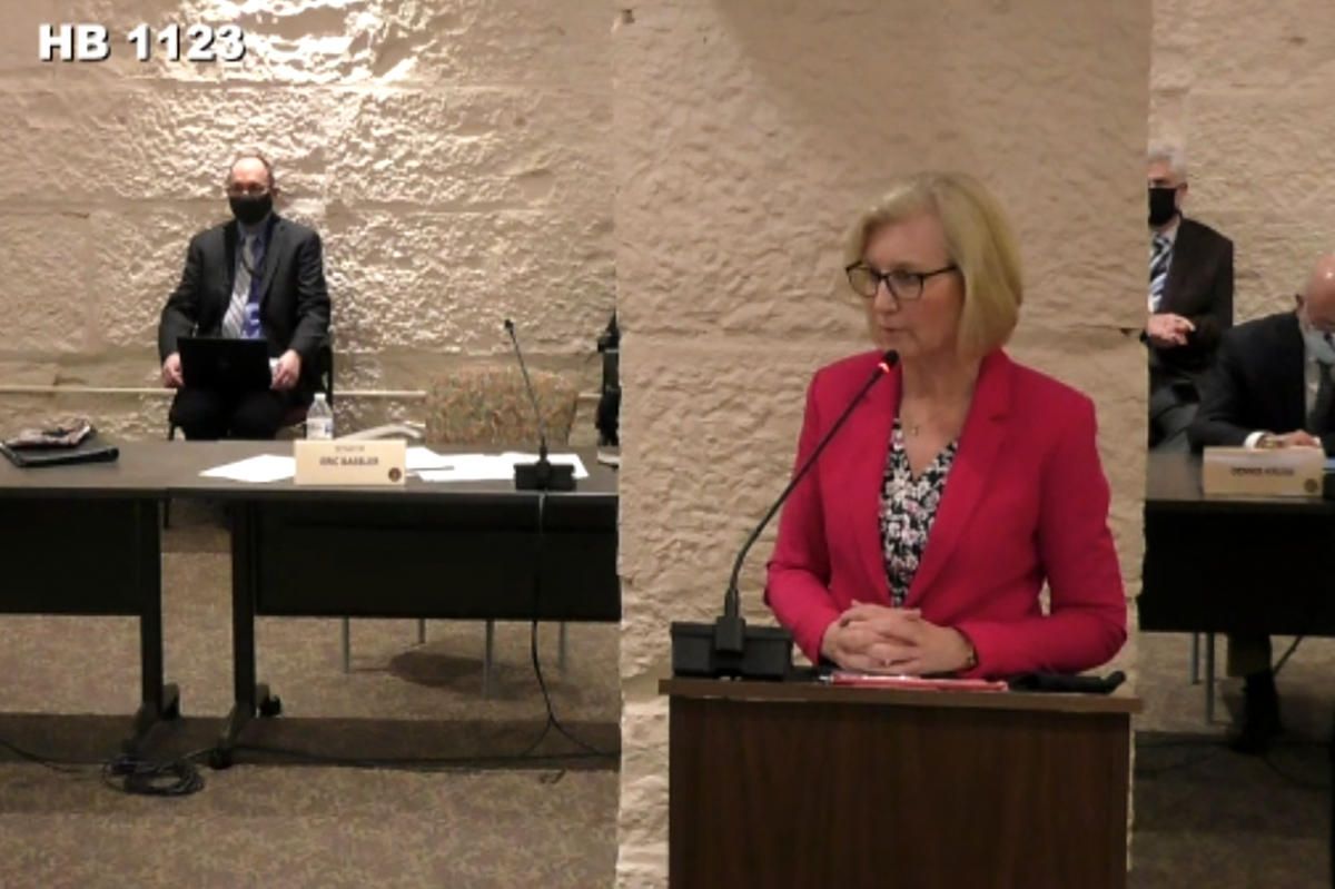 State Health Commissioner Dr. Kris Box testifies in a Senate committee hearing about the governor's emergency powers.