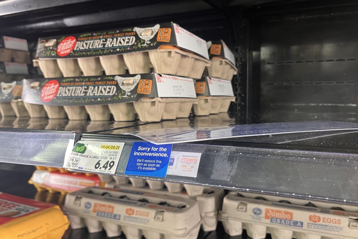 cartons of eggs out of stock at Kroger in Bloomington Indiana, taken February 24, 2025.
