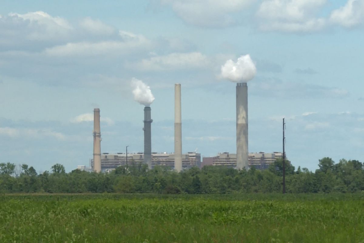 Gibson coal