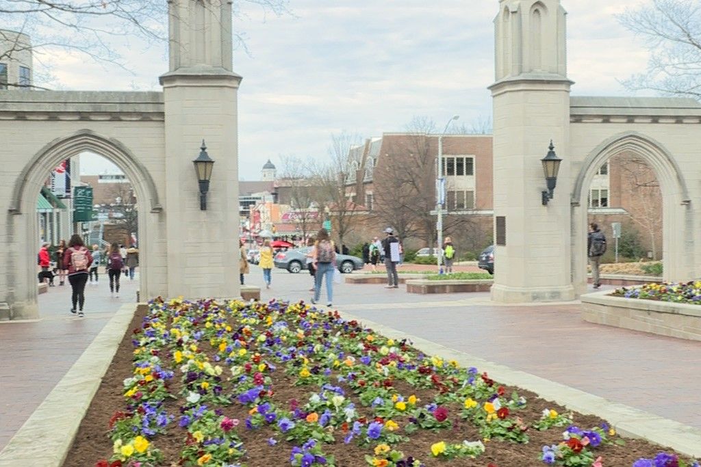 IU Sample Gates spring