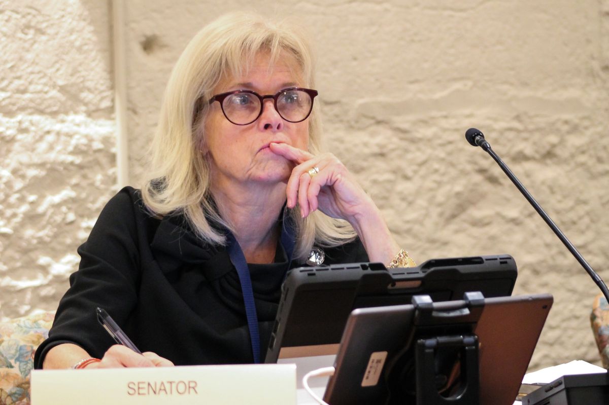 Senate Judiciary Committee Chair Liz Brown (R-Fort Wayne)