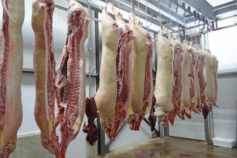 slaughterhouse