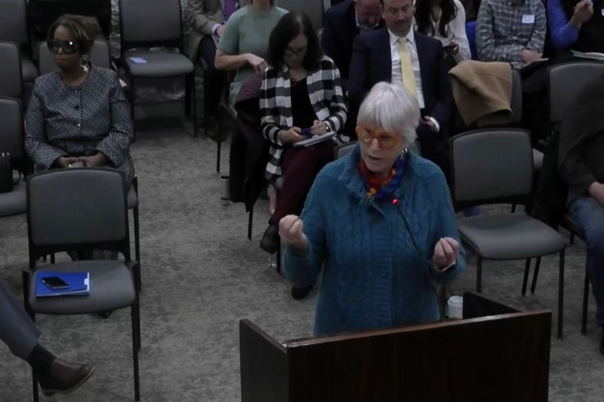 Susan Schechter serves on the board for Fairfield Township in Tippecanoe County and spoke at a senate committee March 27, 2025.