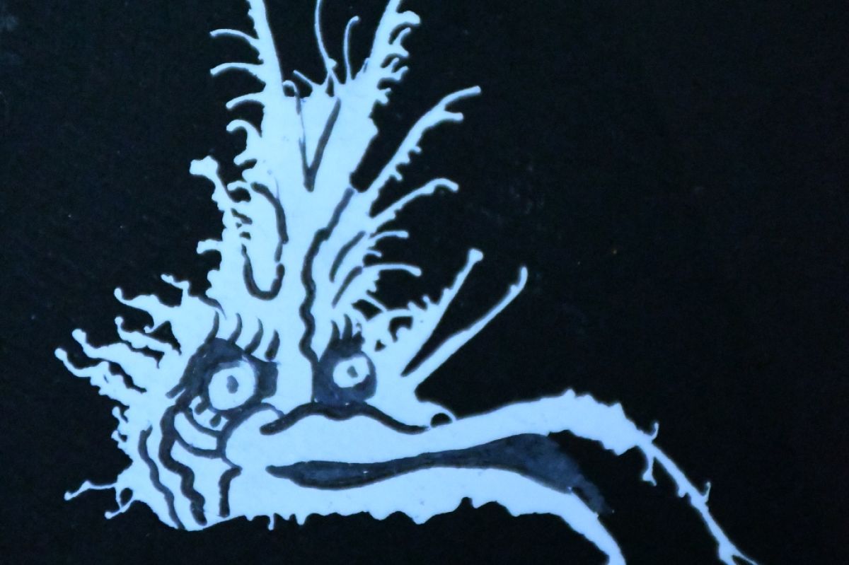 Bobo2 Jayhawk inkblot