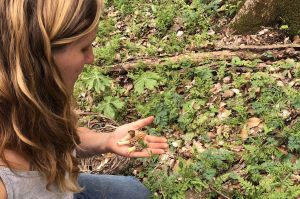 Woman with blonde hair kneeling in forest with 3 mushrooms in her hand. Photo taken from above.