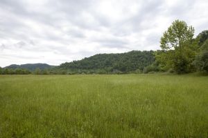 Field in Letcher County, KY