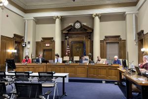 Aurora DiOrio, president of the county health board, addresses concerns regarding public comments during meetings.