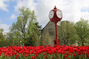 IU Board of Trustees