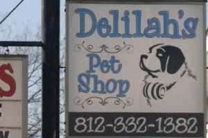 Delilah's Pet Shop