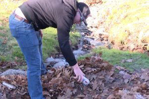 Indiana University sophomore Will Gardiner picks up litter in the Campus river