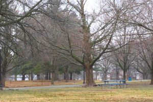 Garfield Park