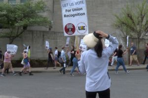 IU grad students cheer faculty exiting the IU Auditorium after the no confidence vote.