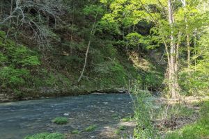 beanblossom nature preserve