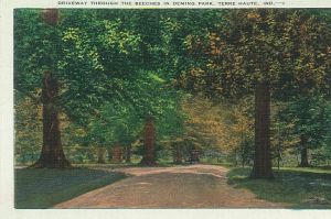 a postcard of deming park terra haute indiana